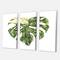 Designart - Tropical Green Leaves In Summer Times III - Tropical Canvas Wall Art Print
